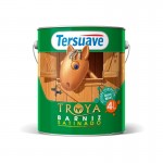 BARNIZ ACUOSO 4 SATINADO