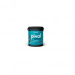 LATEX EXTERIOR INTER. PIVAL 10