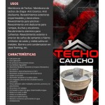 TECHADO TECHOCAUCHO 20LTS. REFLEX